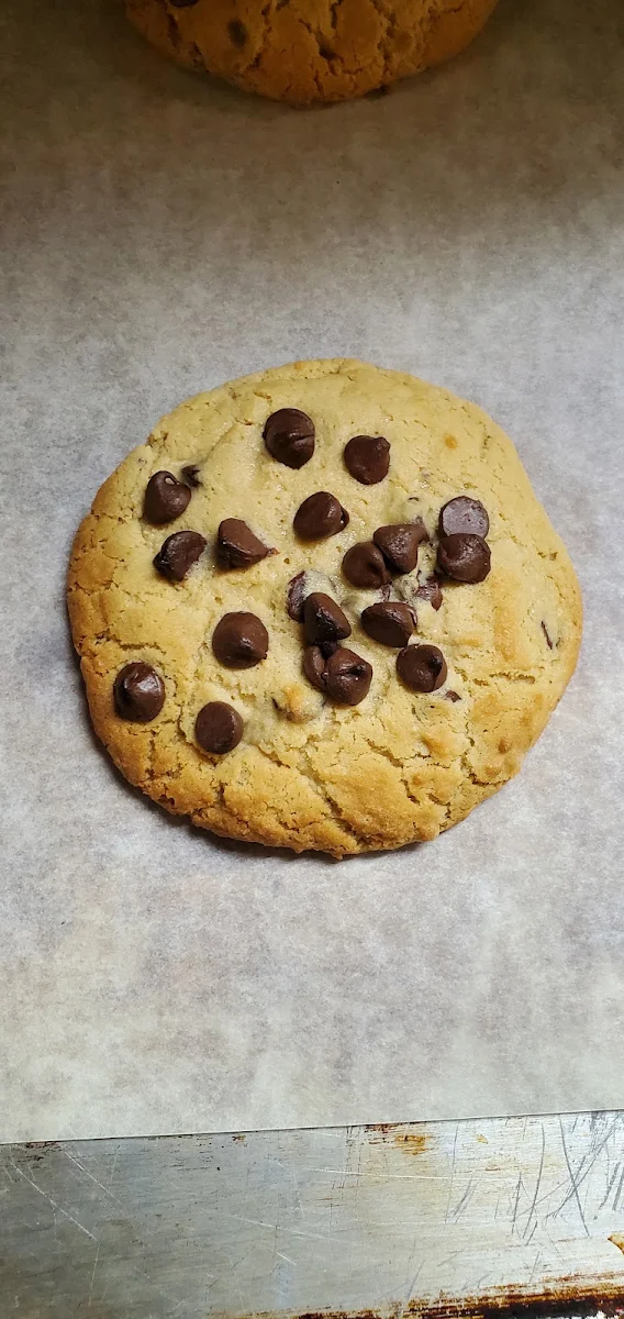 Chocolate Chip Cookie