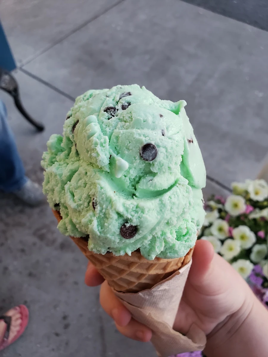 Chocolate Chip