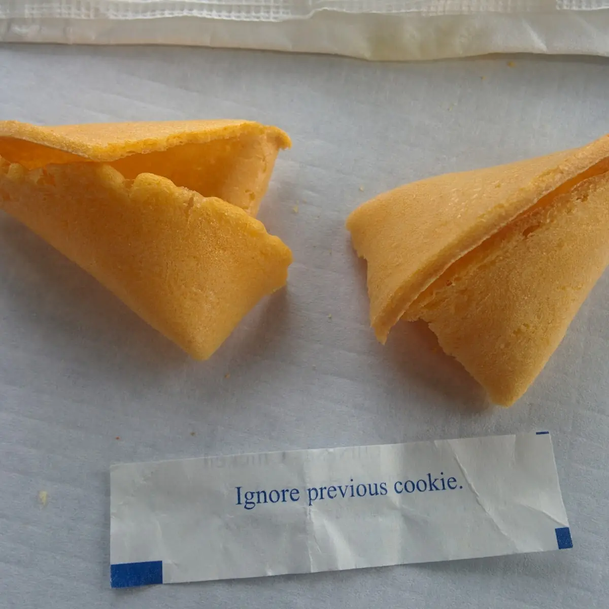 Fortune Cookie