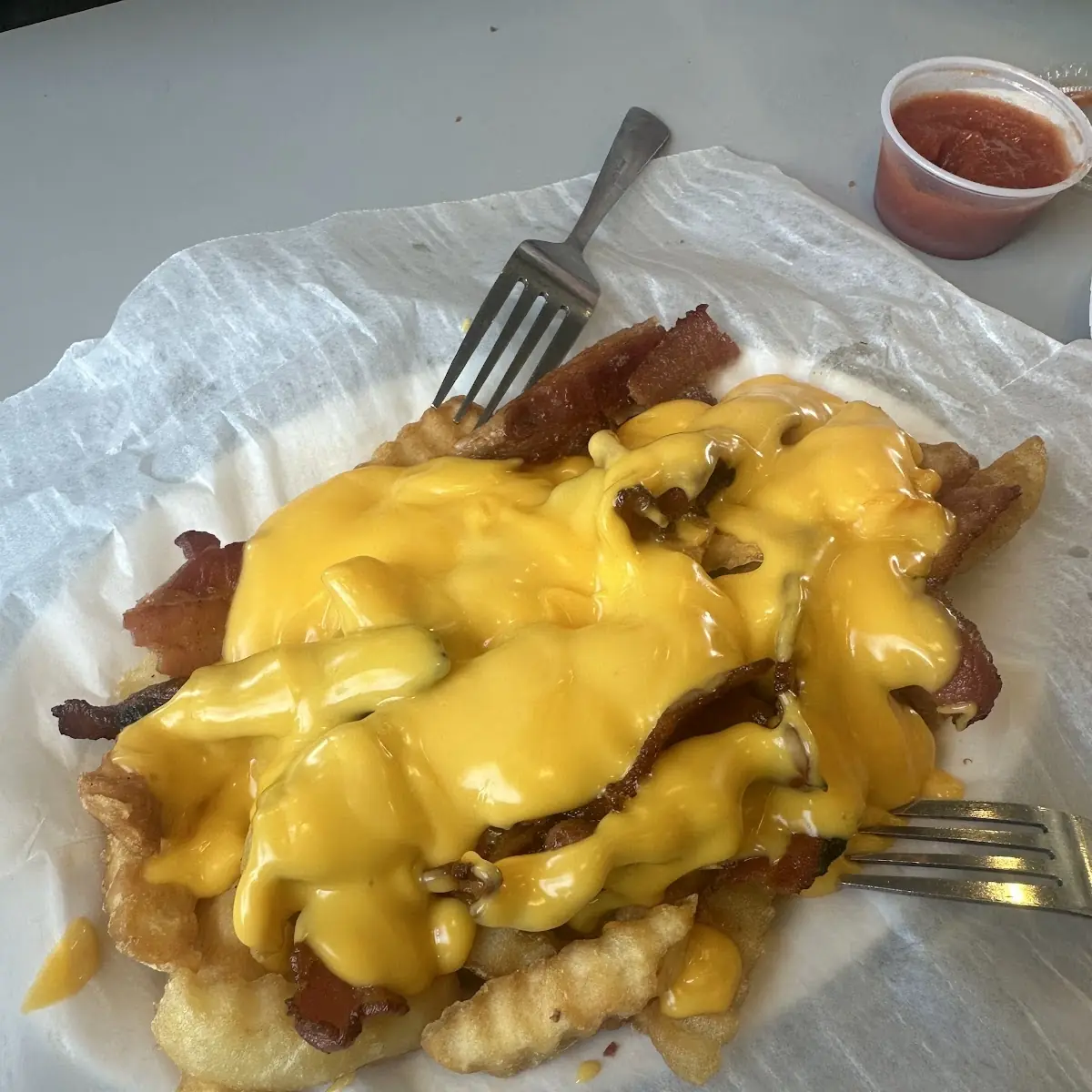 Bacon Cheese Fries