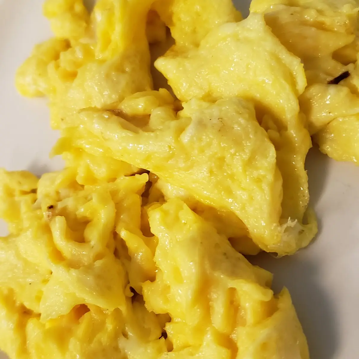 Two Eggs Meal