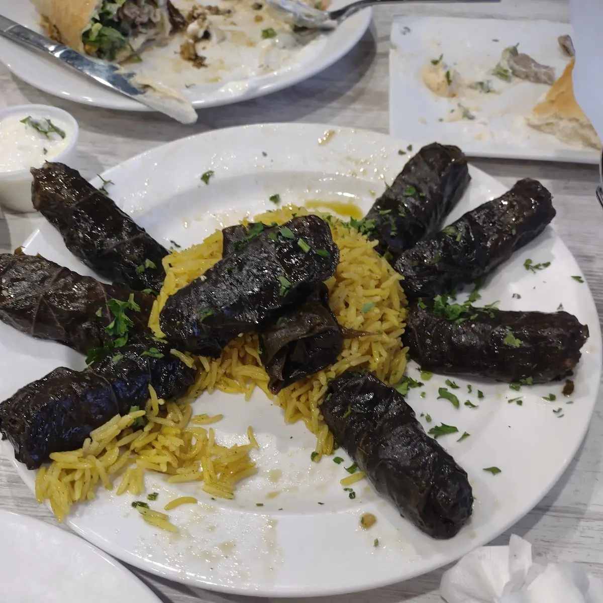 In House Made Stuffed Grape Leavesand Rice