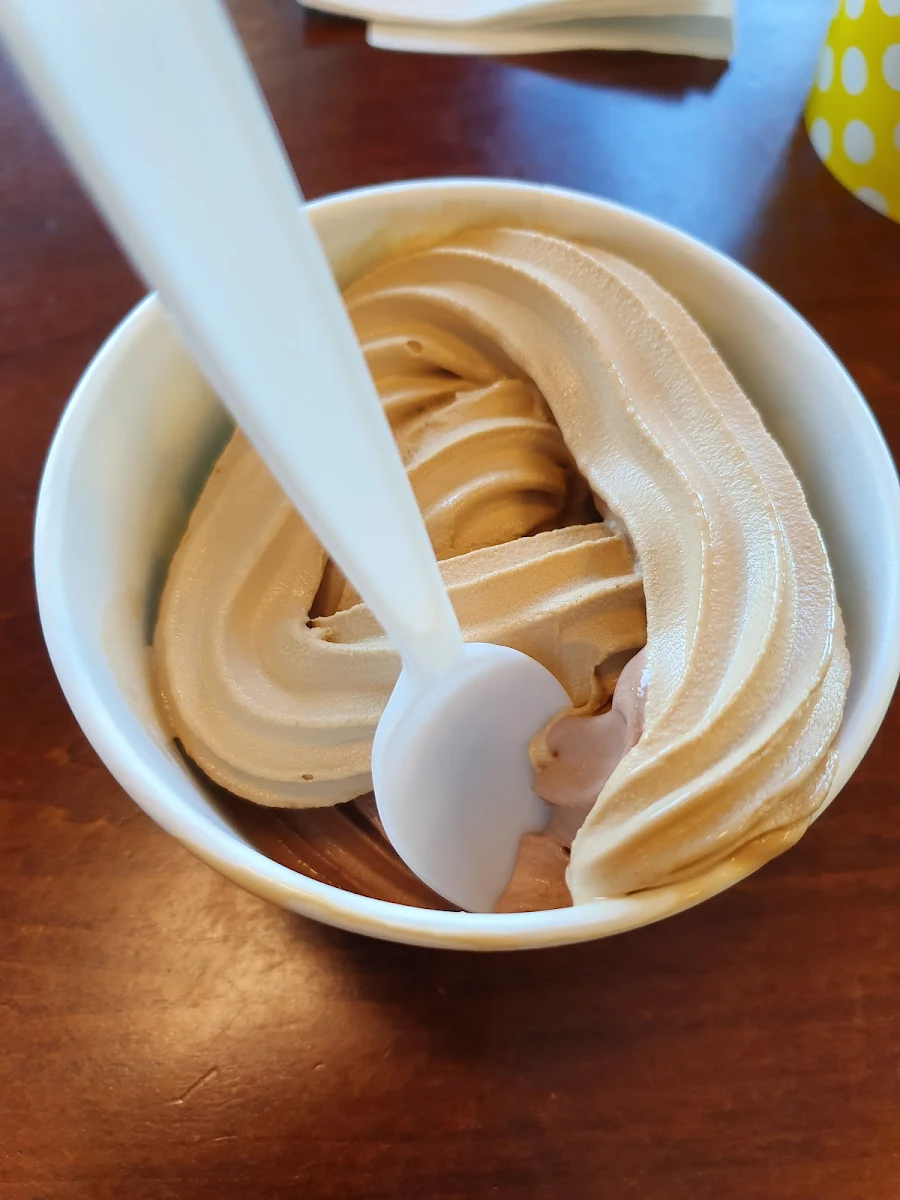 Frozen Yogurt