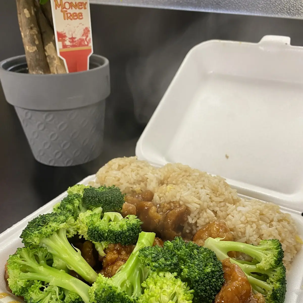 Orange Chicken & Fried Rice