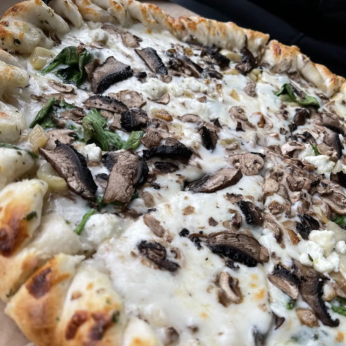 Mushroom Pizza