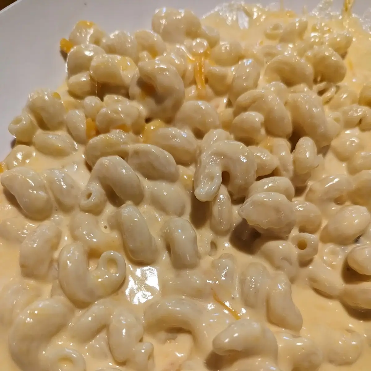 Gourmet Mac and Cheese