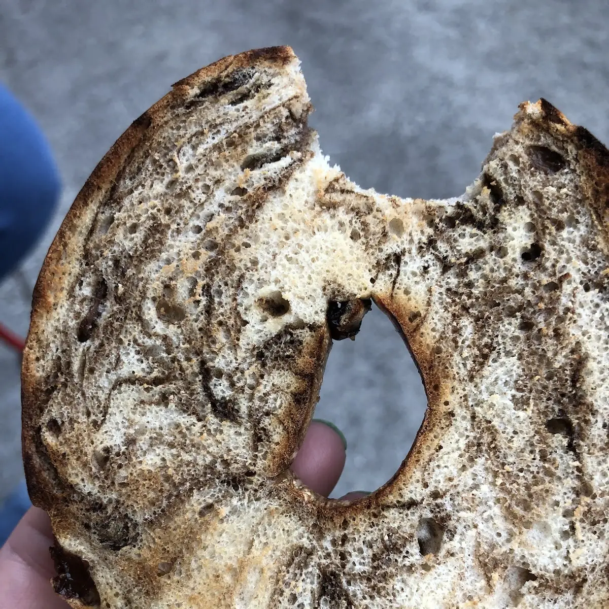 Cinnamon Raisin Bagel
