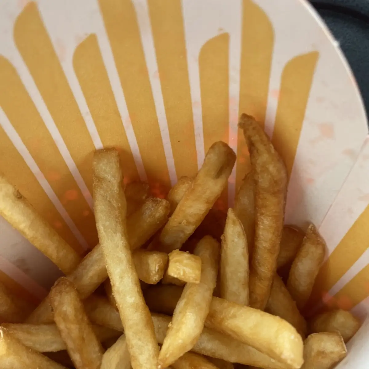 World Famous Fries