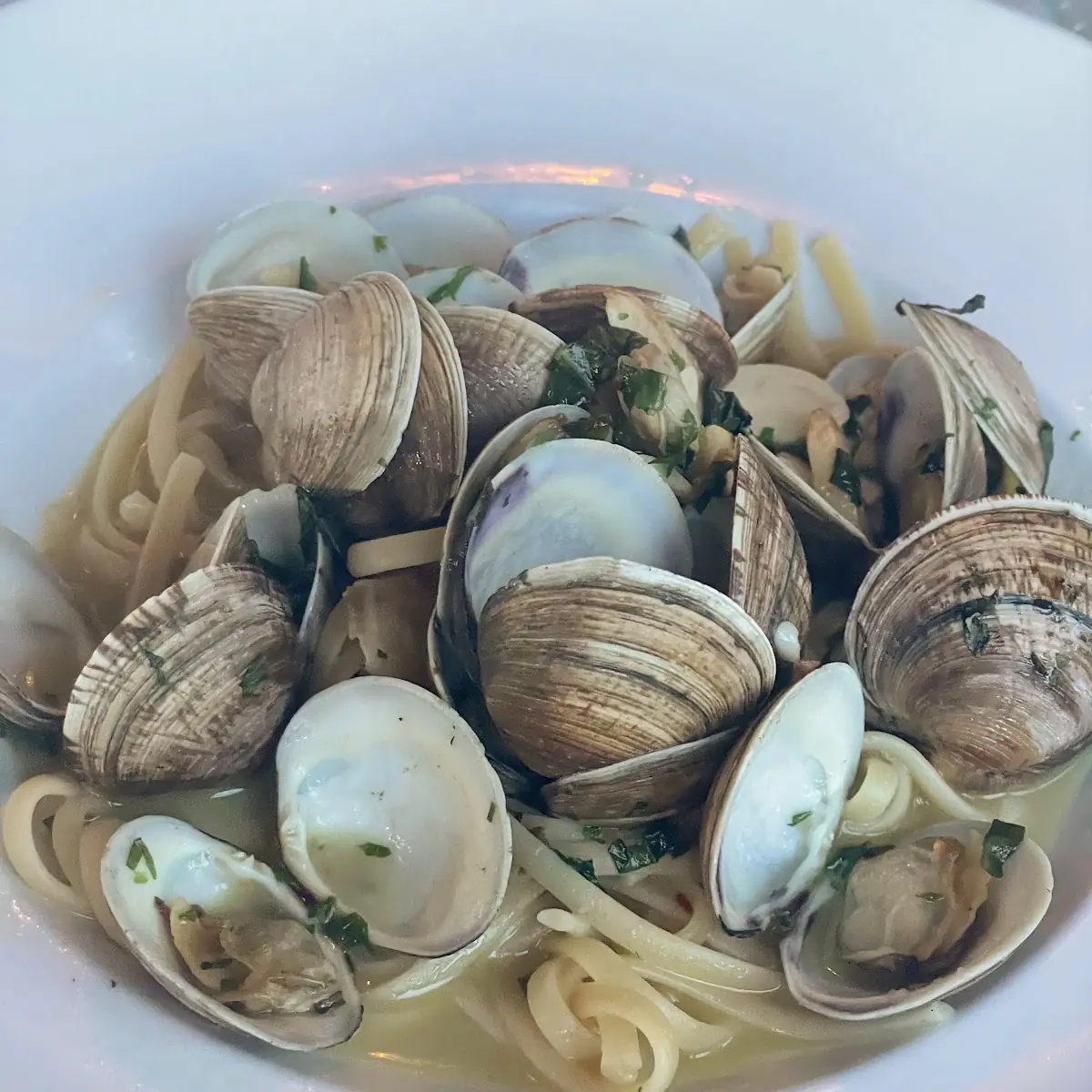 Steamed Clams