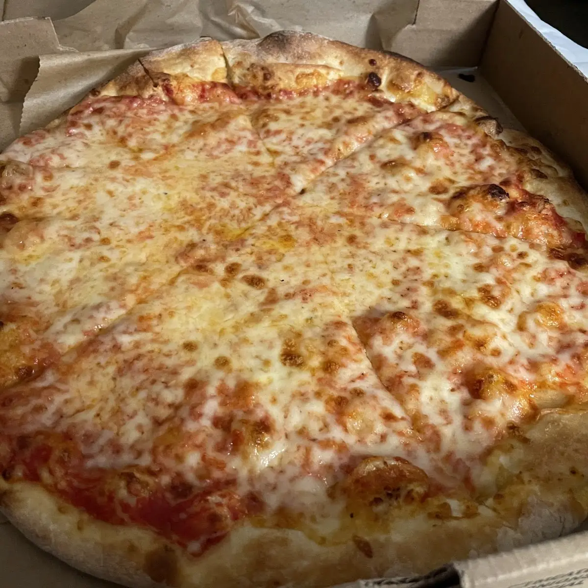 Cheese and Tomato Sauce Pizza 14