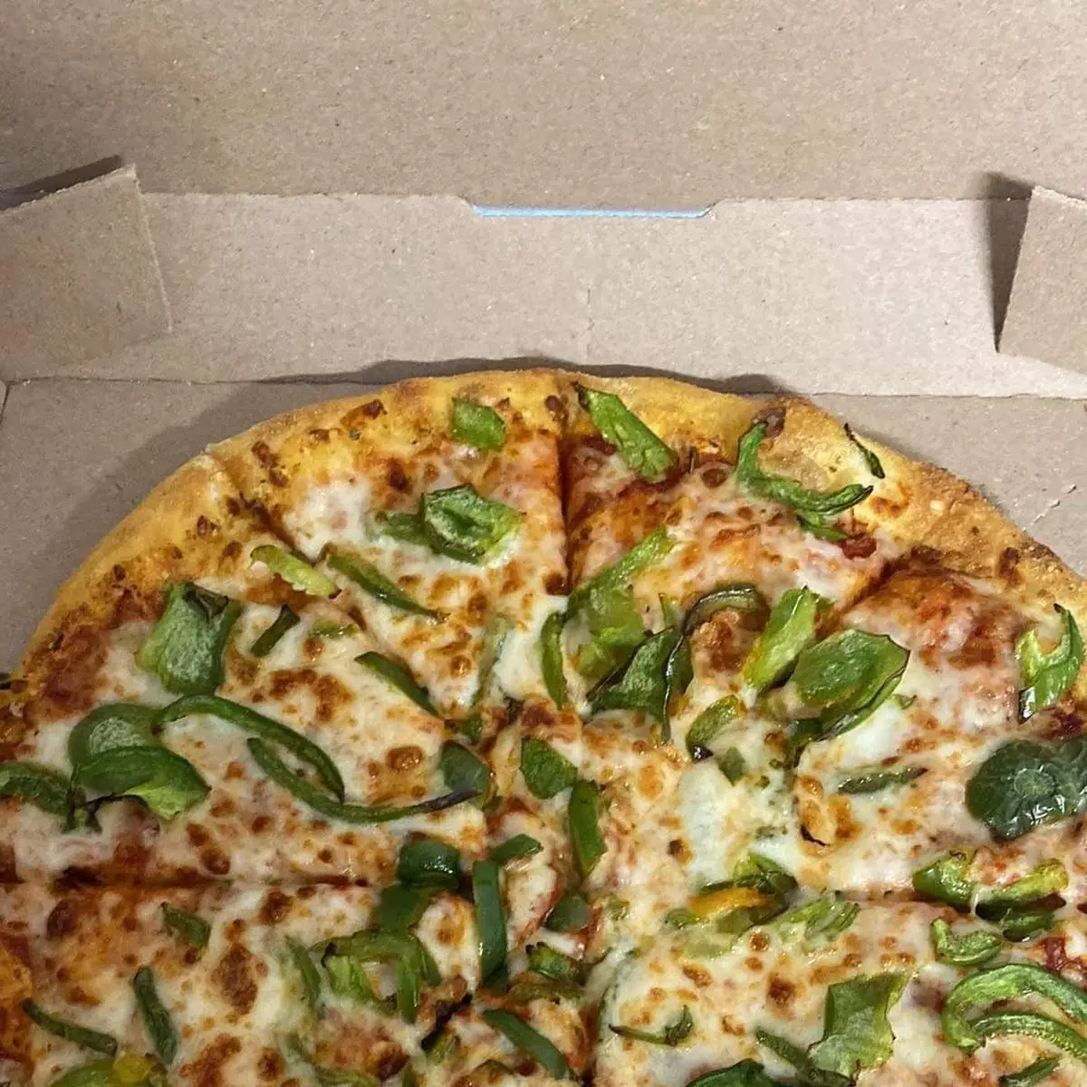 Green Pepper Pizza