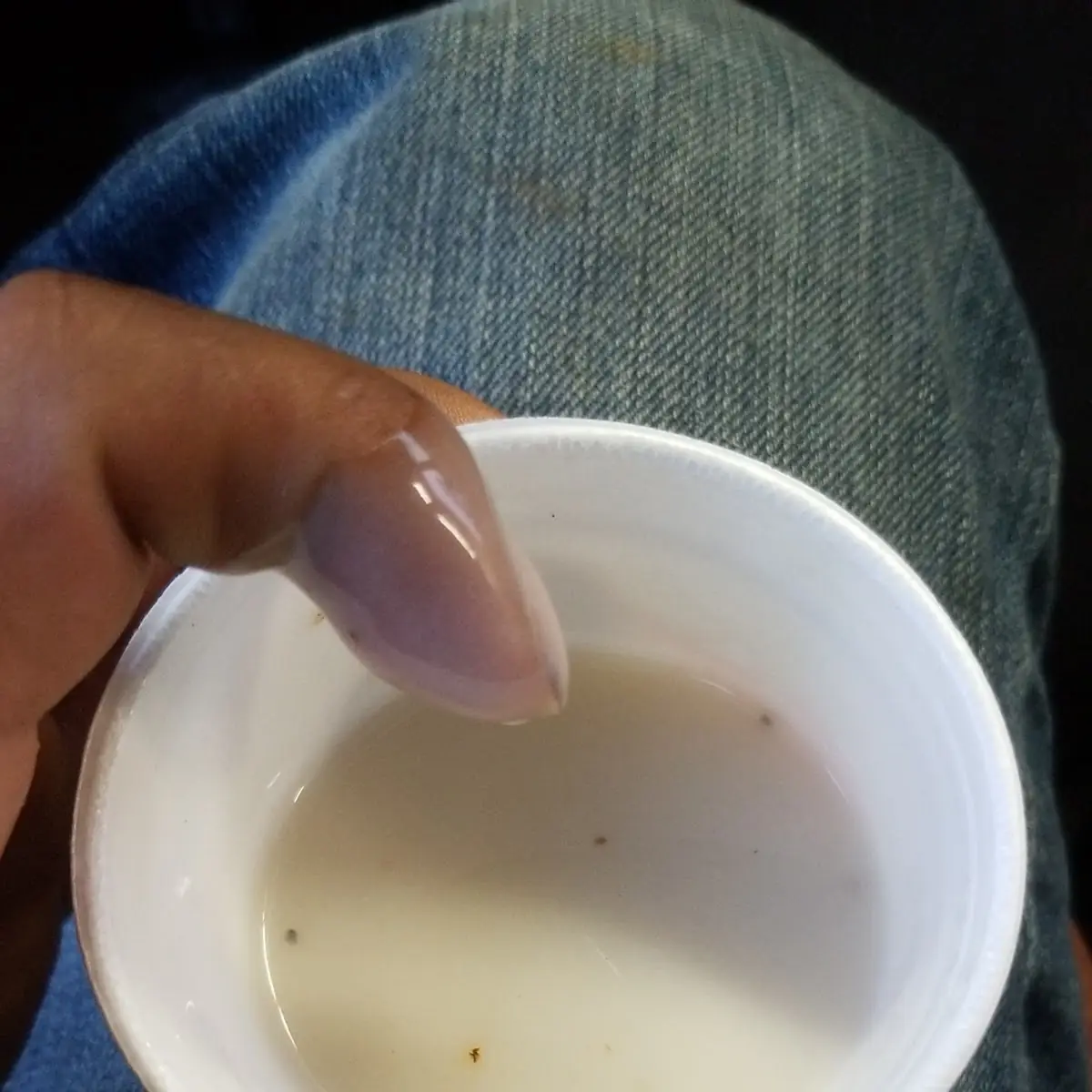 Cheese Dip