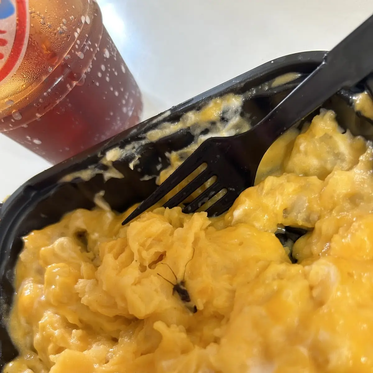 Scrambled Eggs
