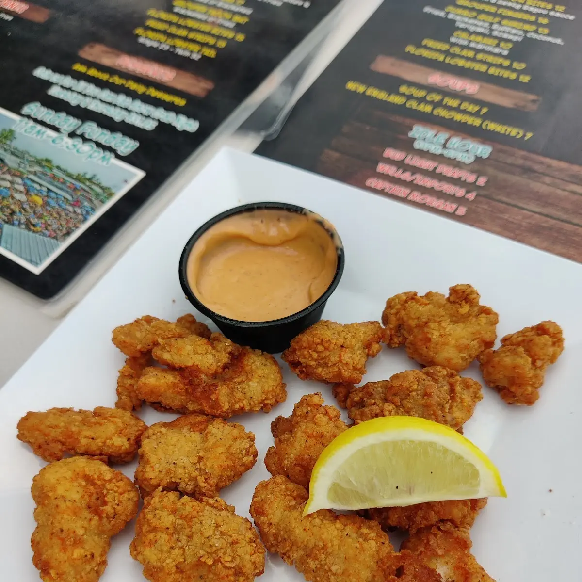 Florida Gator Bites