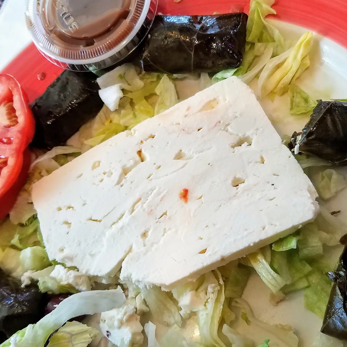 Stuffed Grape Leaves 6