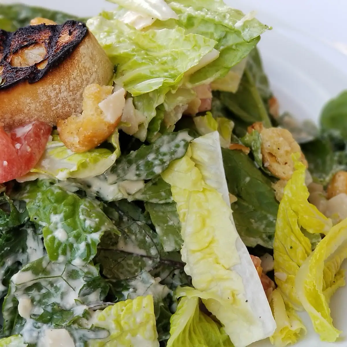 Grilled Salmon Caesar