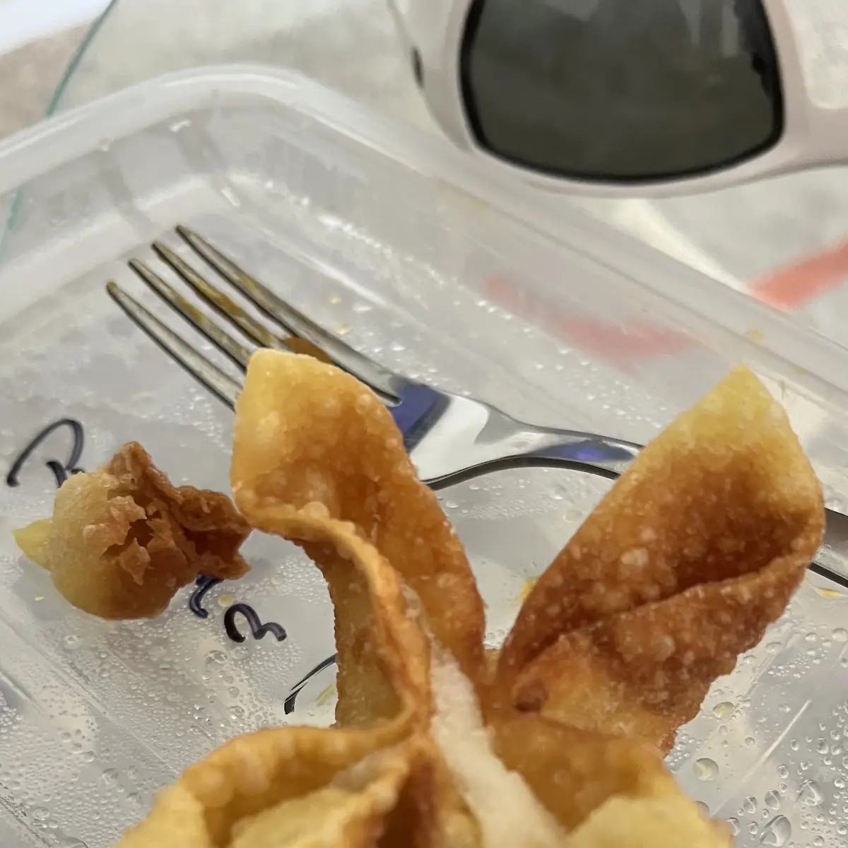Fried Wonton 10
