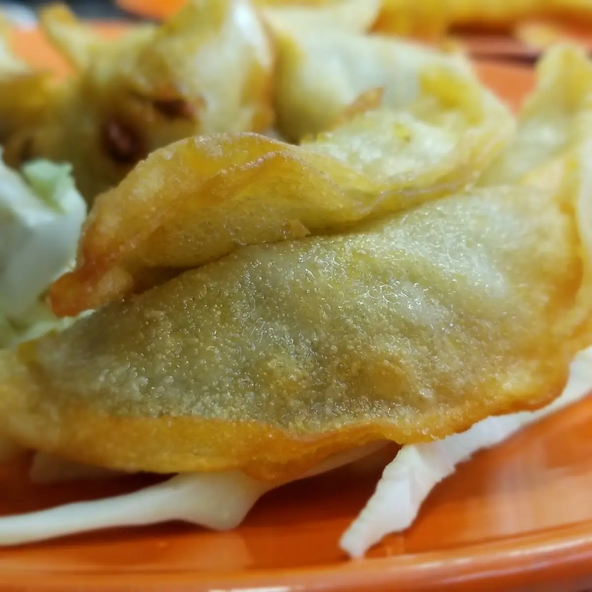 Pot Stickers 8