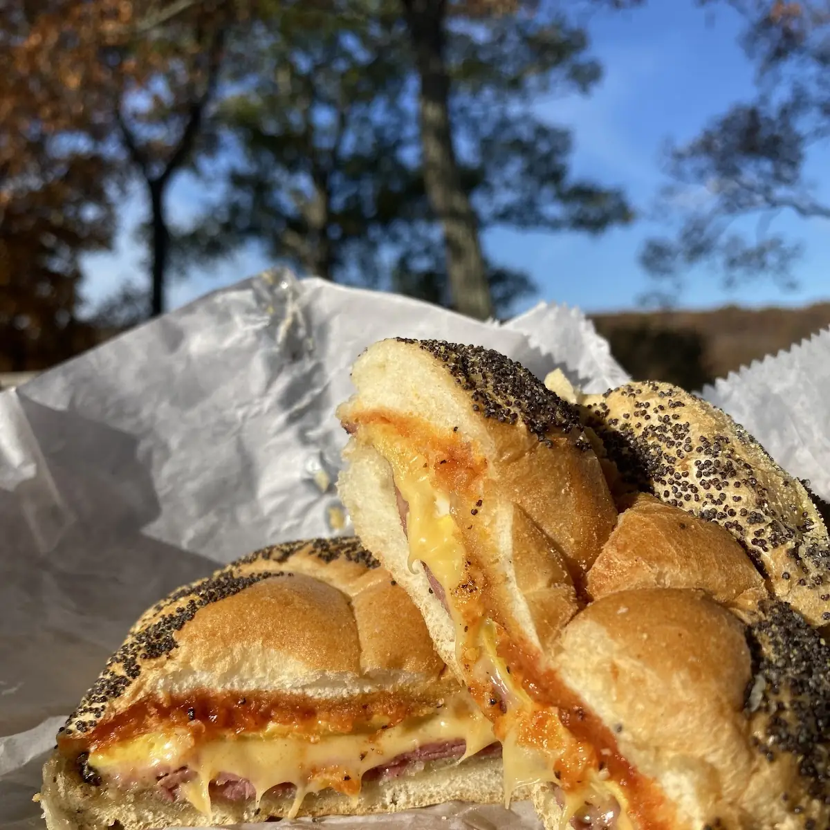 Pastrami Egg and Cheese