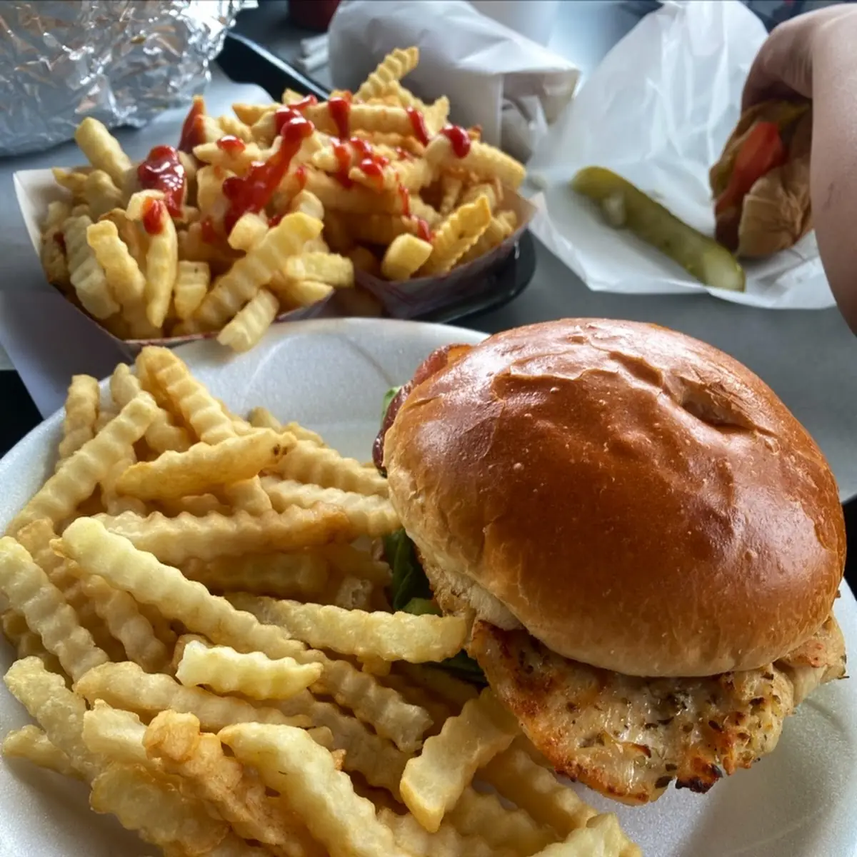 Pork Chop Sandwich w Fries