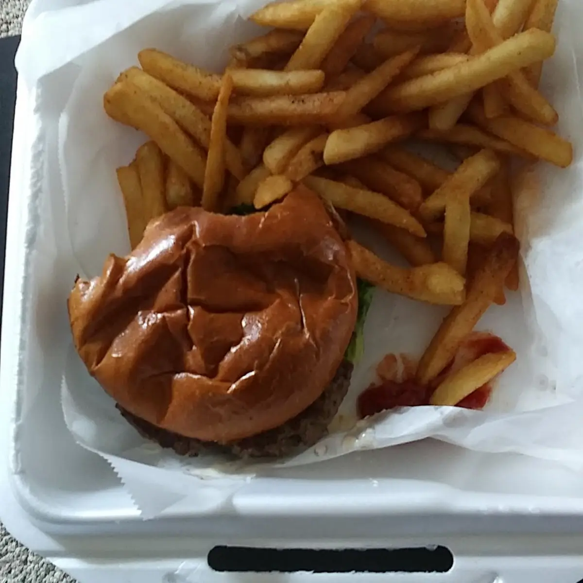 Hamburger with Fries
