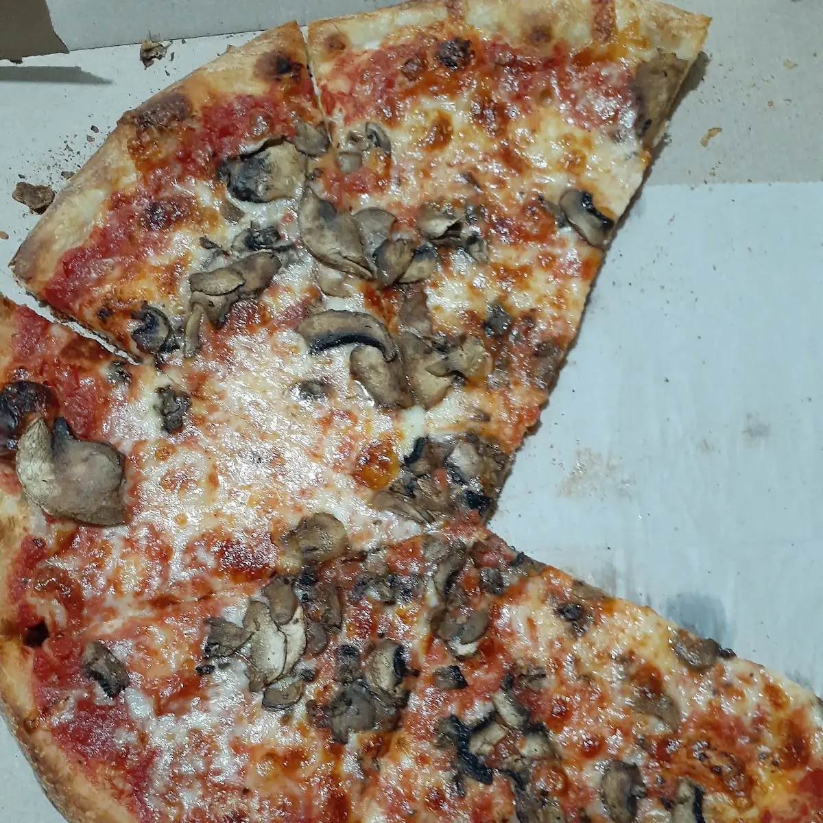 Mushroom Pizza