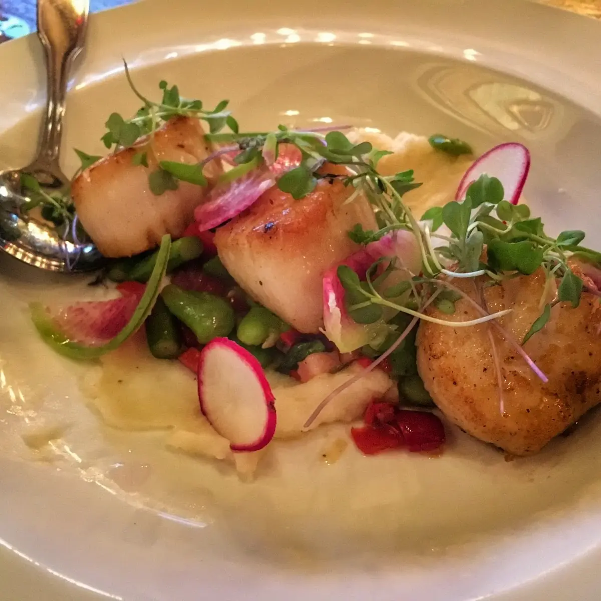 Pan Seared Scallops