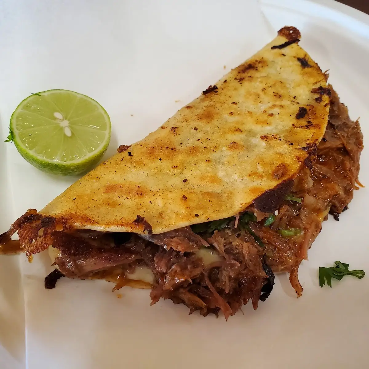 Birria Taco Plate