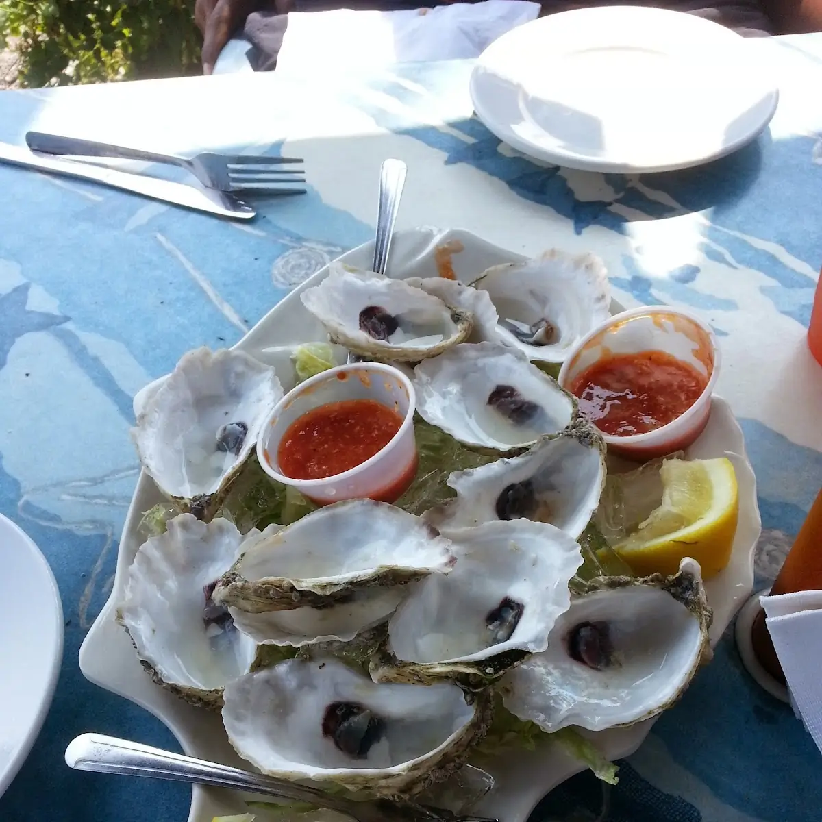 Oysters on the Half Shell