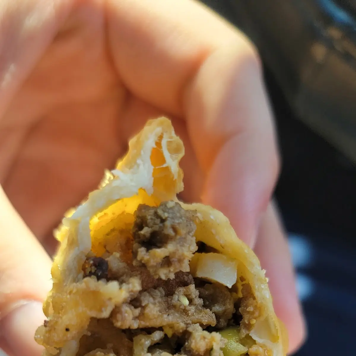 Boricua Empanada
