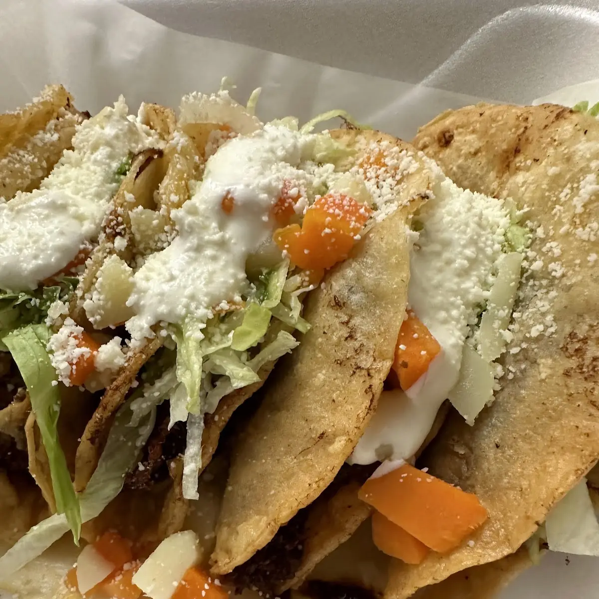 Quesadilla de Maiz