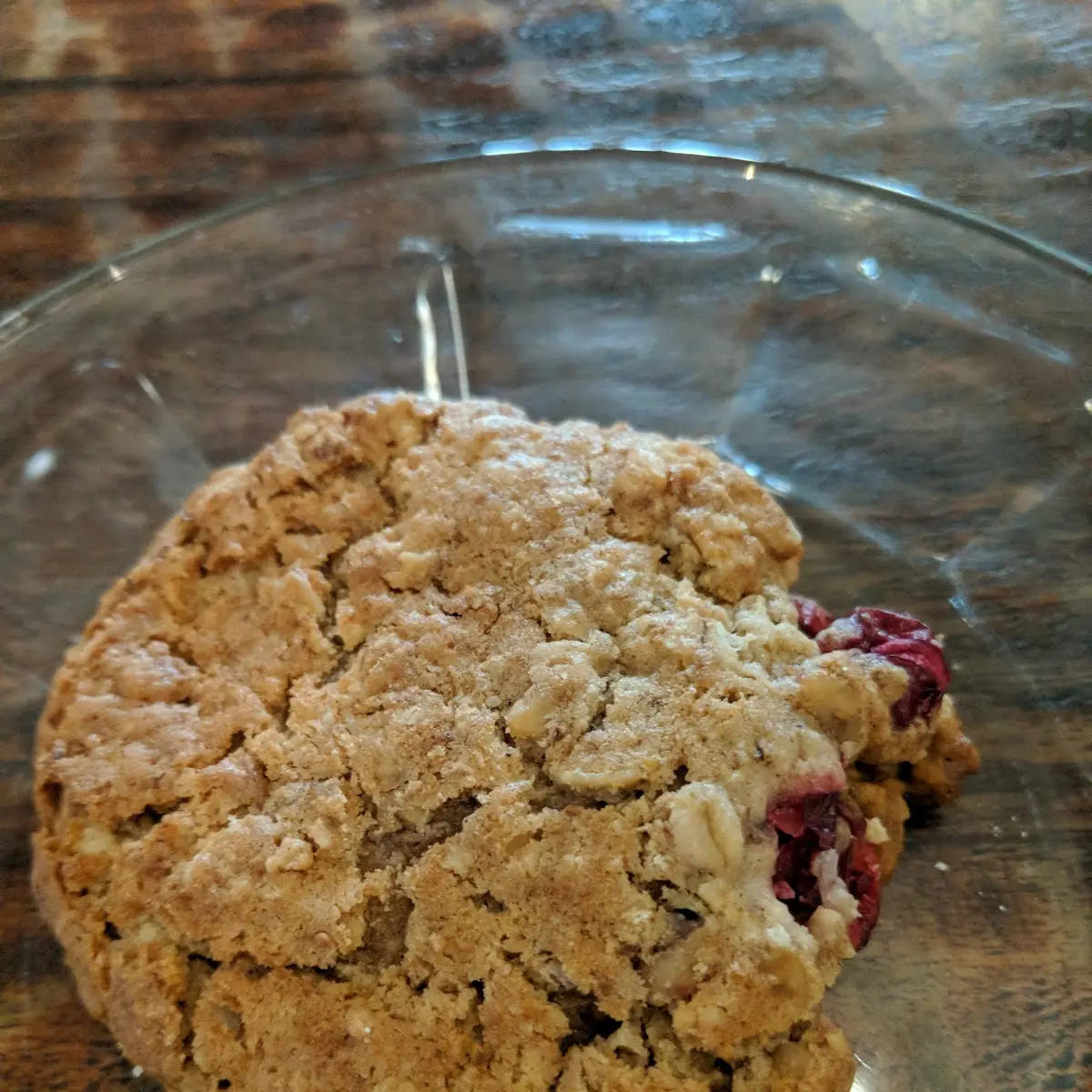 Cranberry Nuts Oatmeal Cookie