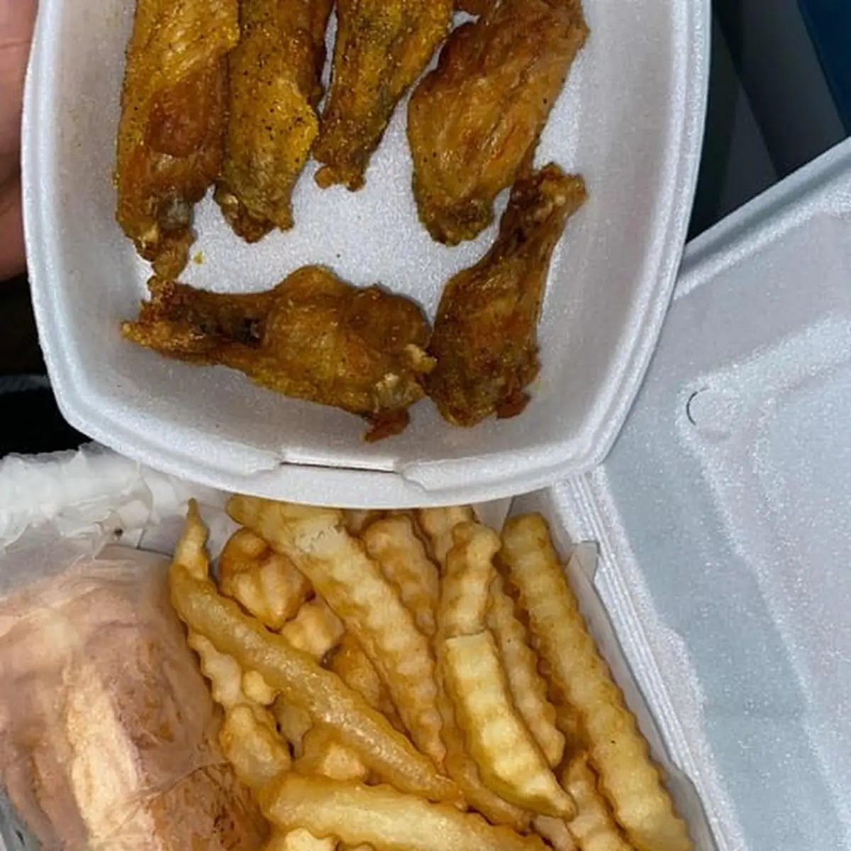 Wings Fries