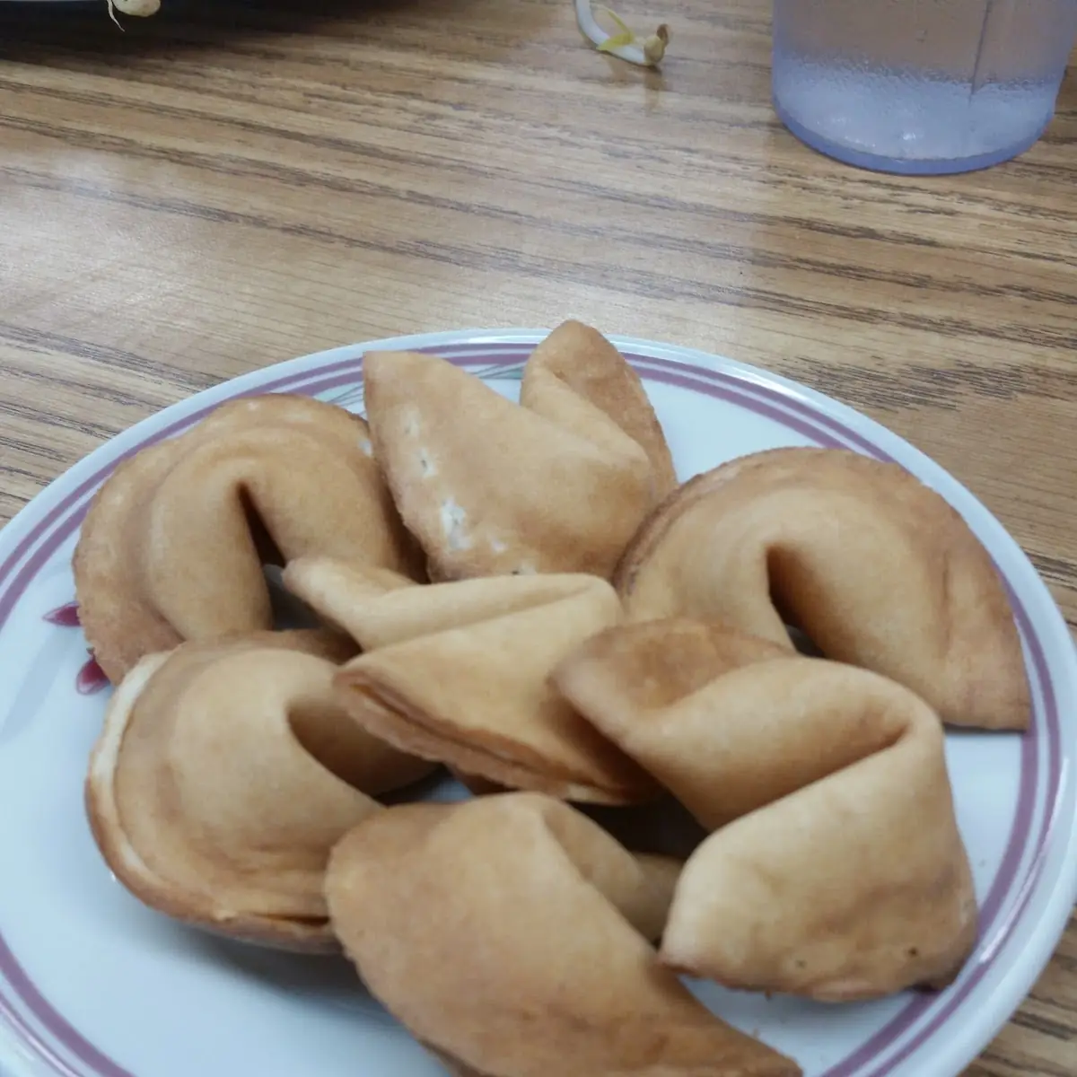 Fortune Cookies