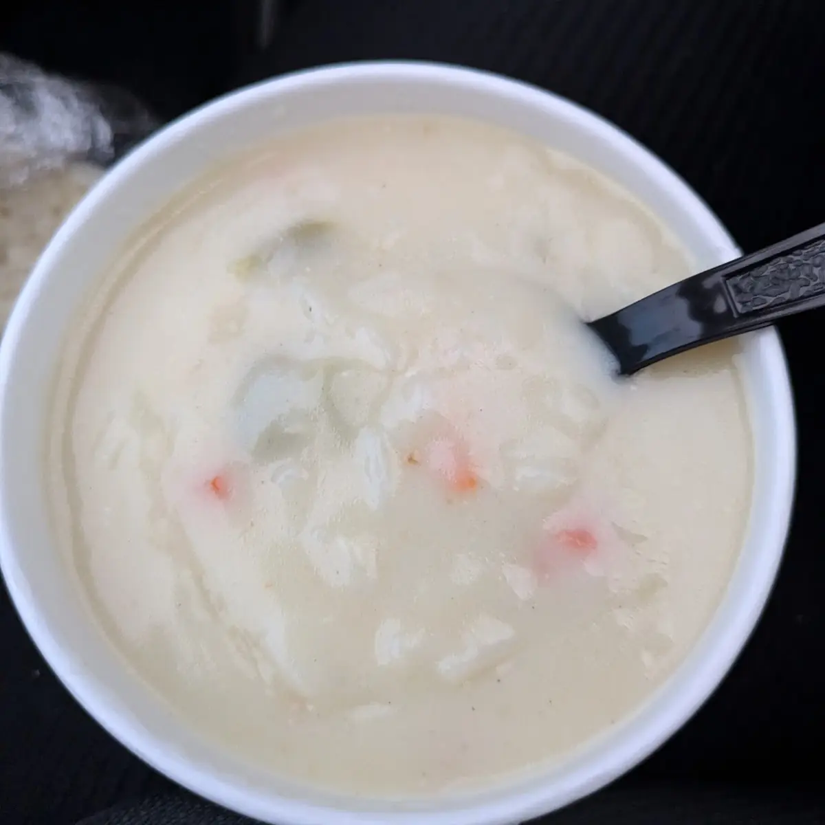 Cream of Chicken Soup