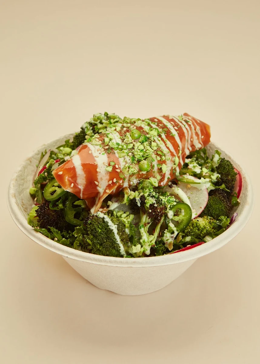Highlights, FISHBOWL - Dee Why