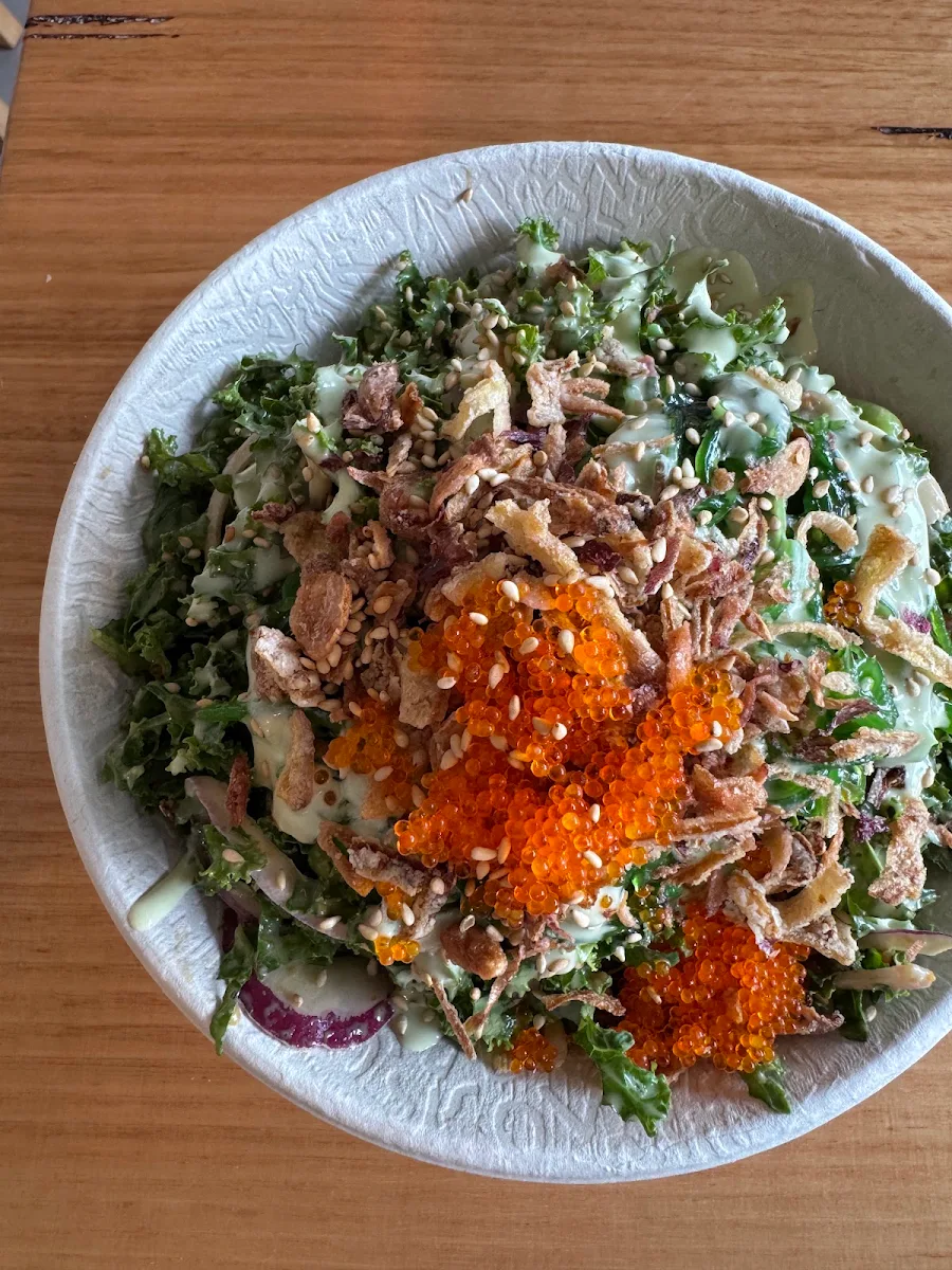 Nori Caesar, FISHBOWL - Dee Why