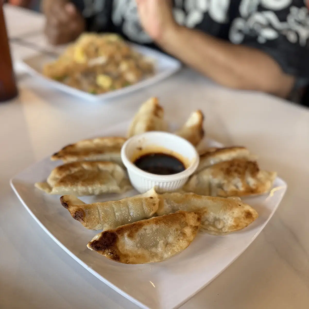 Chinese Cabbage Dumplings (8)