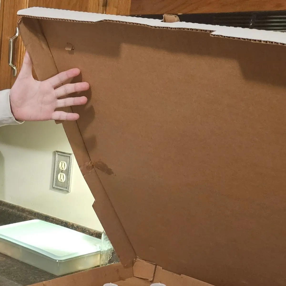 Giant Pizza