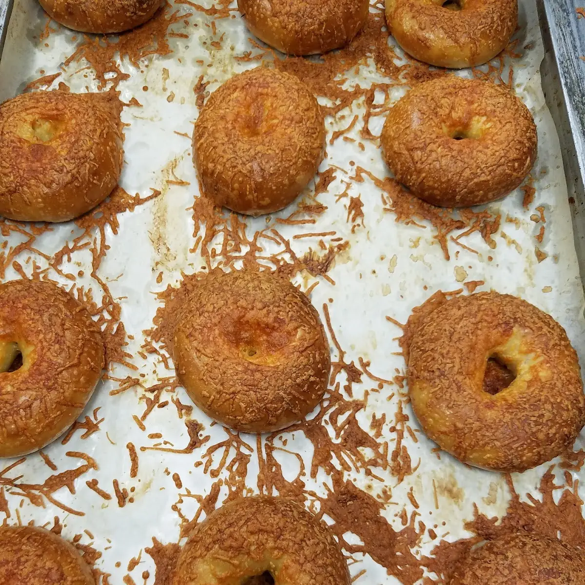 Asiago Cheese Bagels