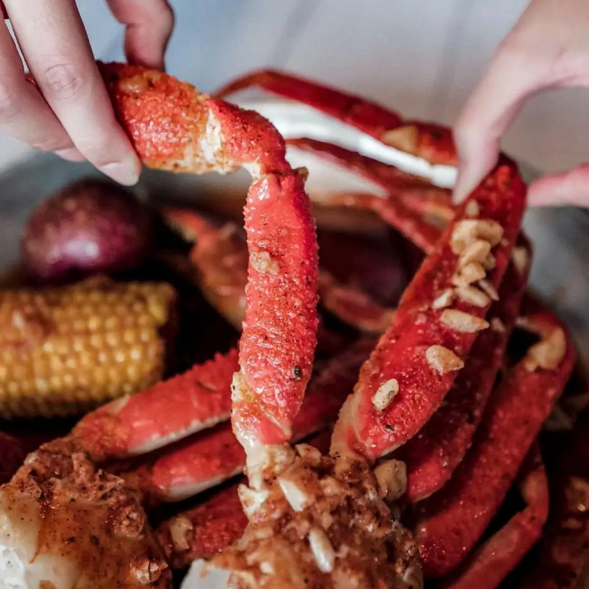 Snow Crab Legs Mini Boil