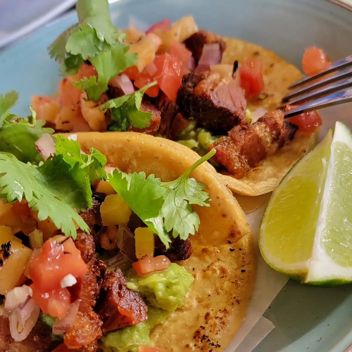 Pork Belly Tacos