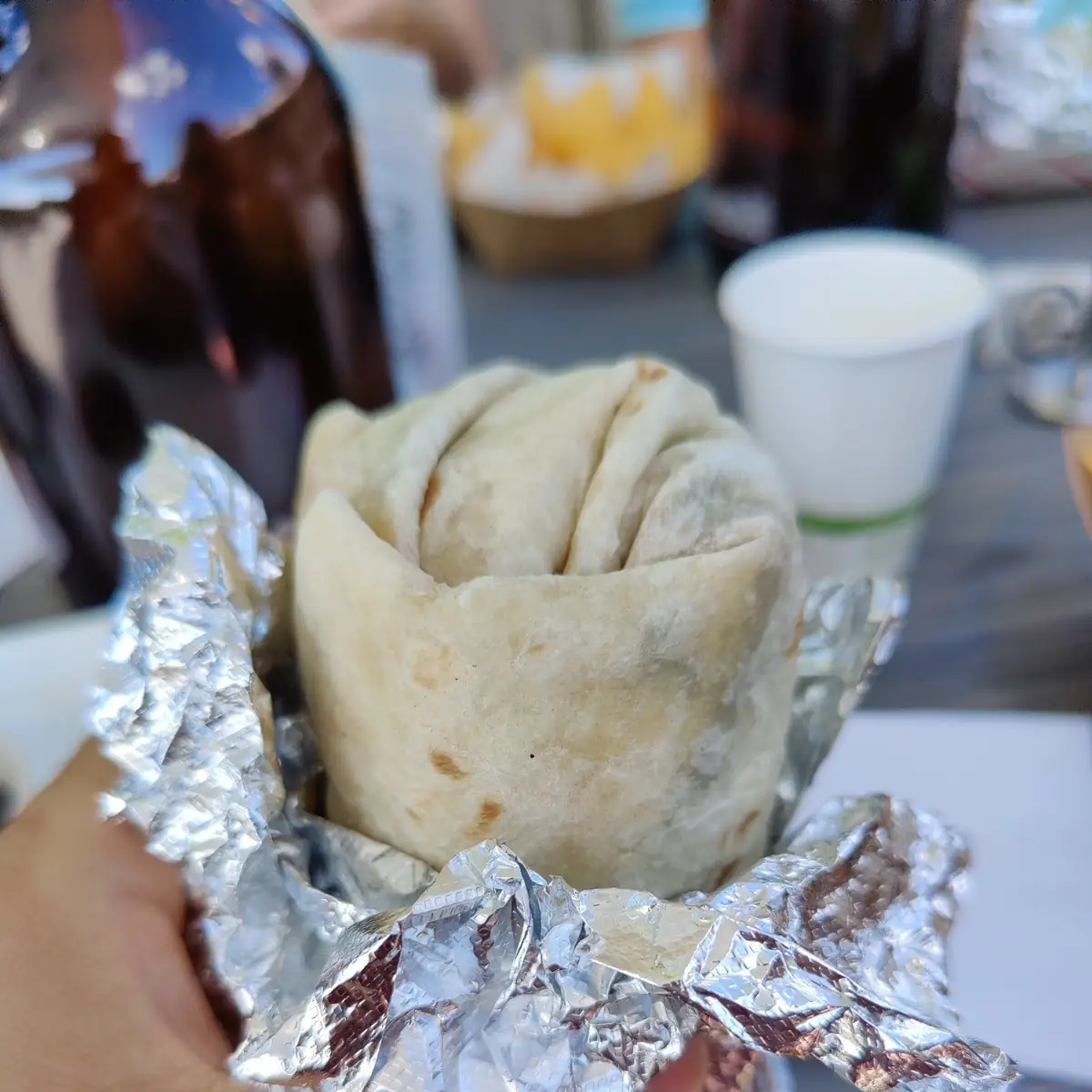 Asada Burrito