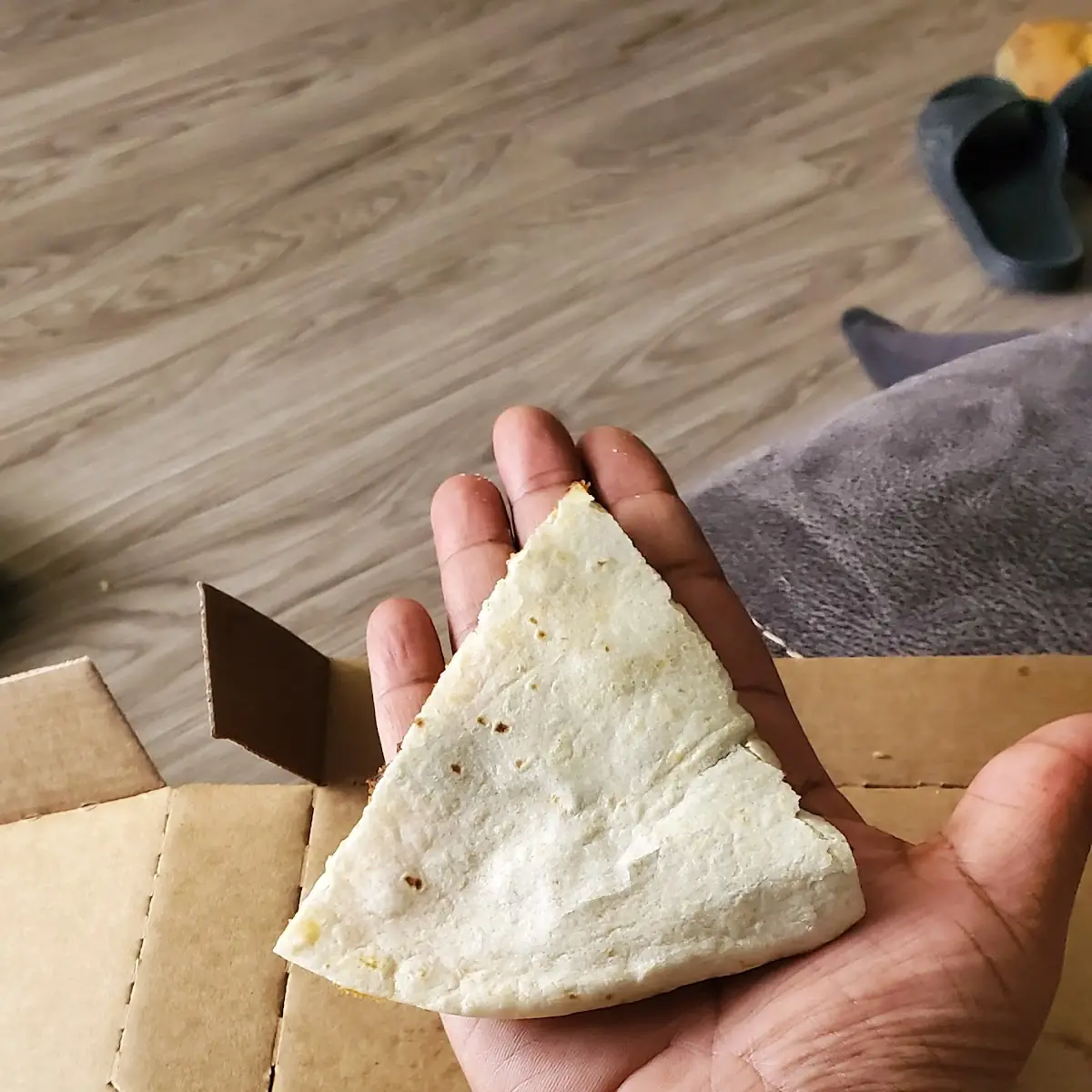 lg Steak Quesadilla