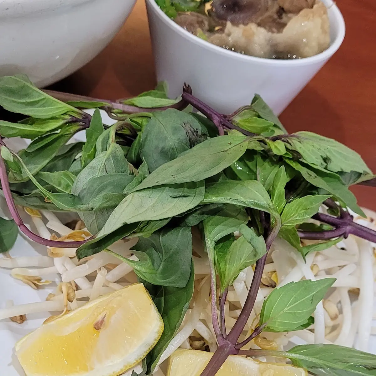 Special Combo Beef Pho