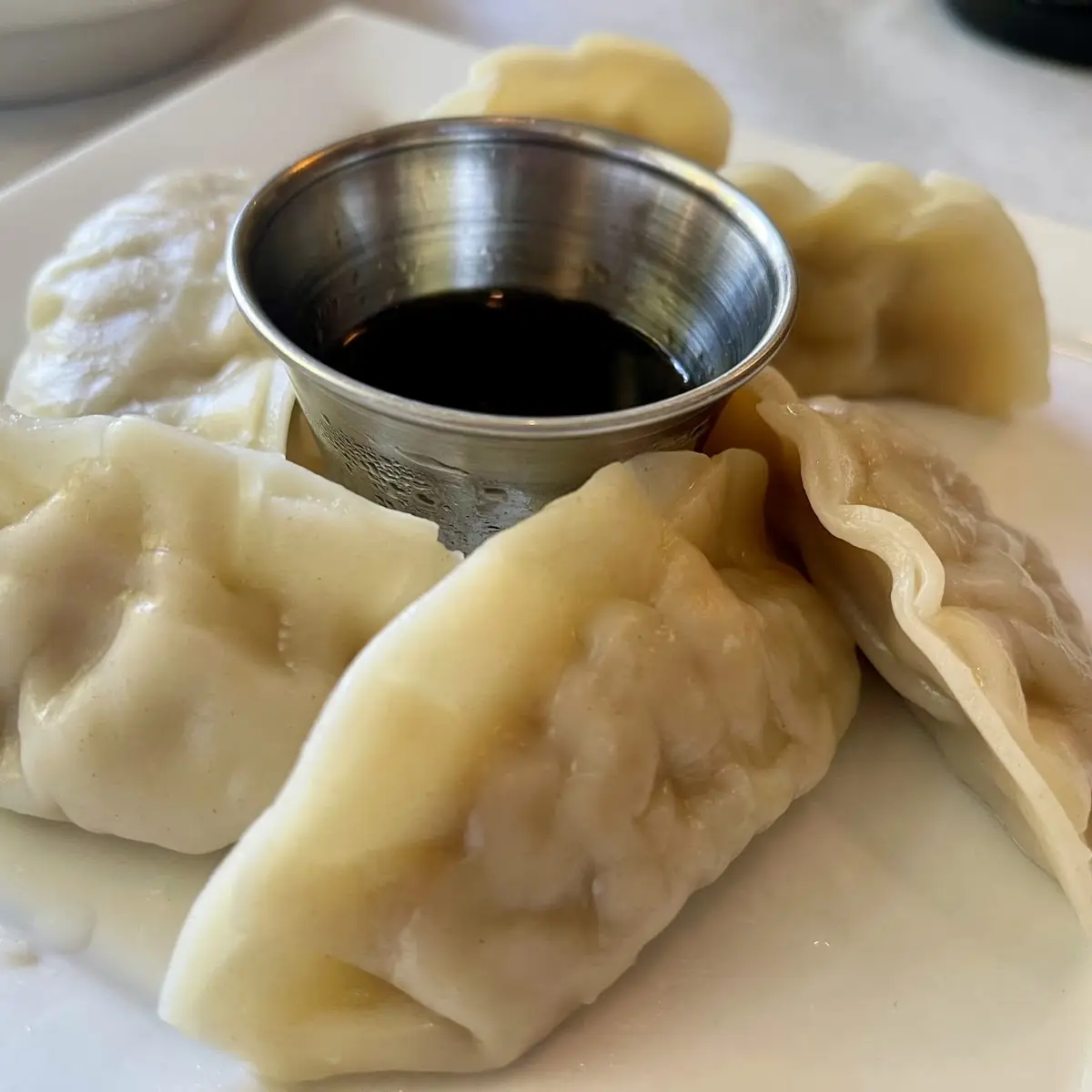 Pot Stickers