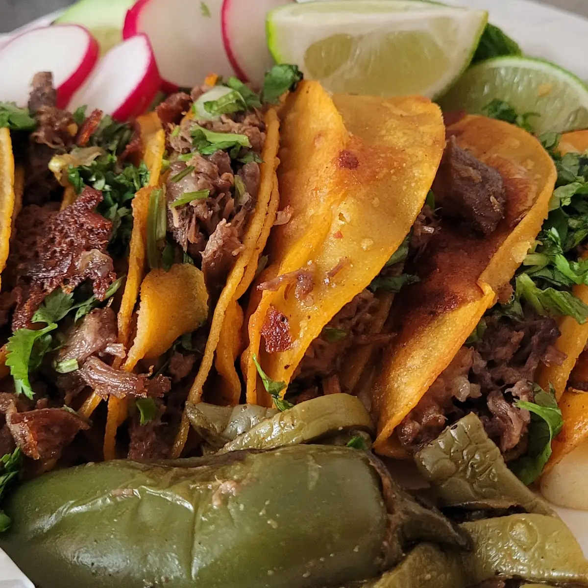 Birria Tacos