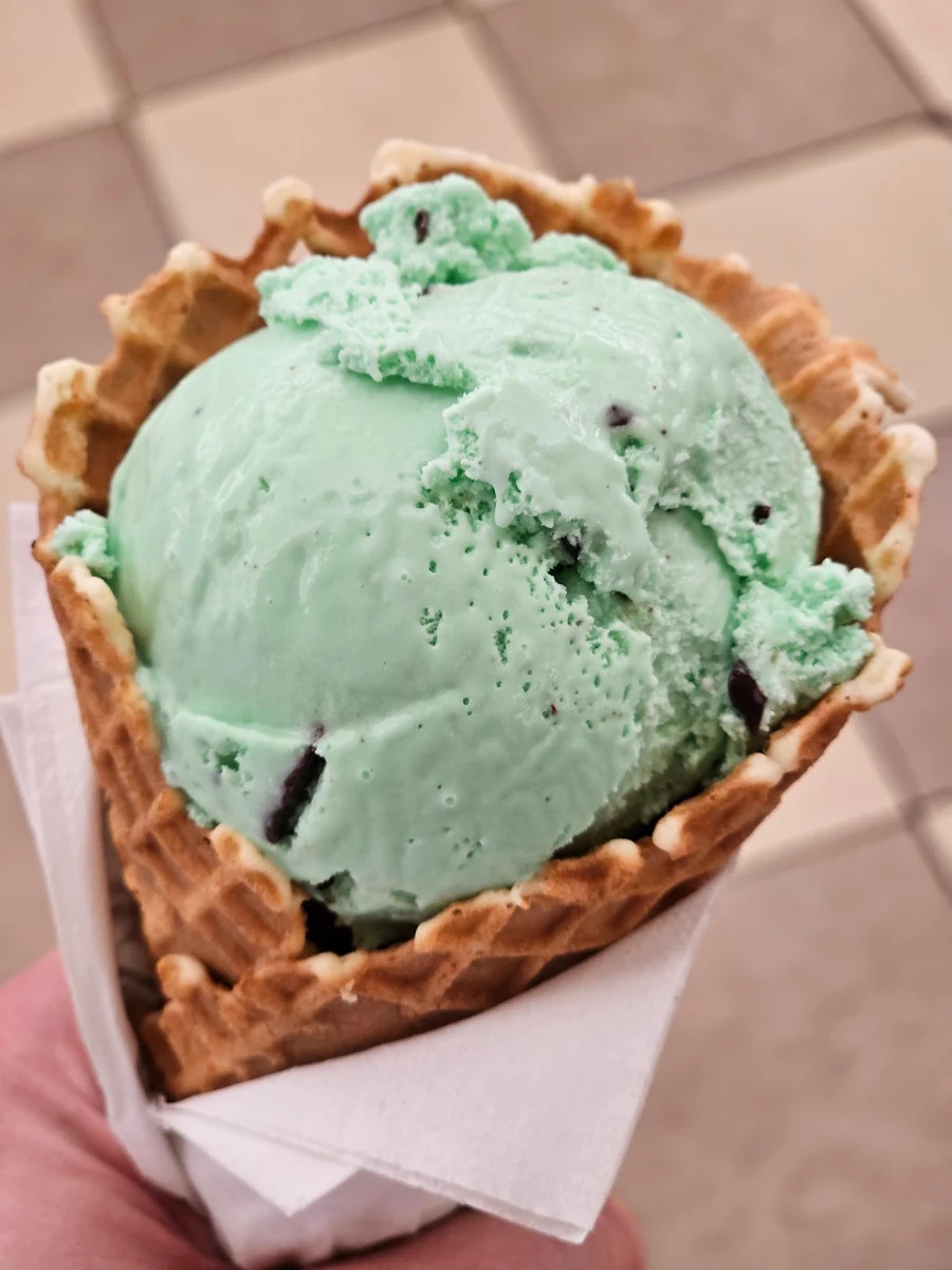 Mint Chocolate Chip