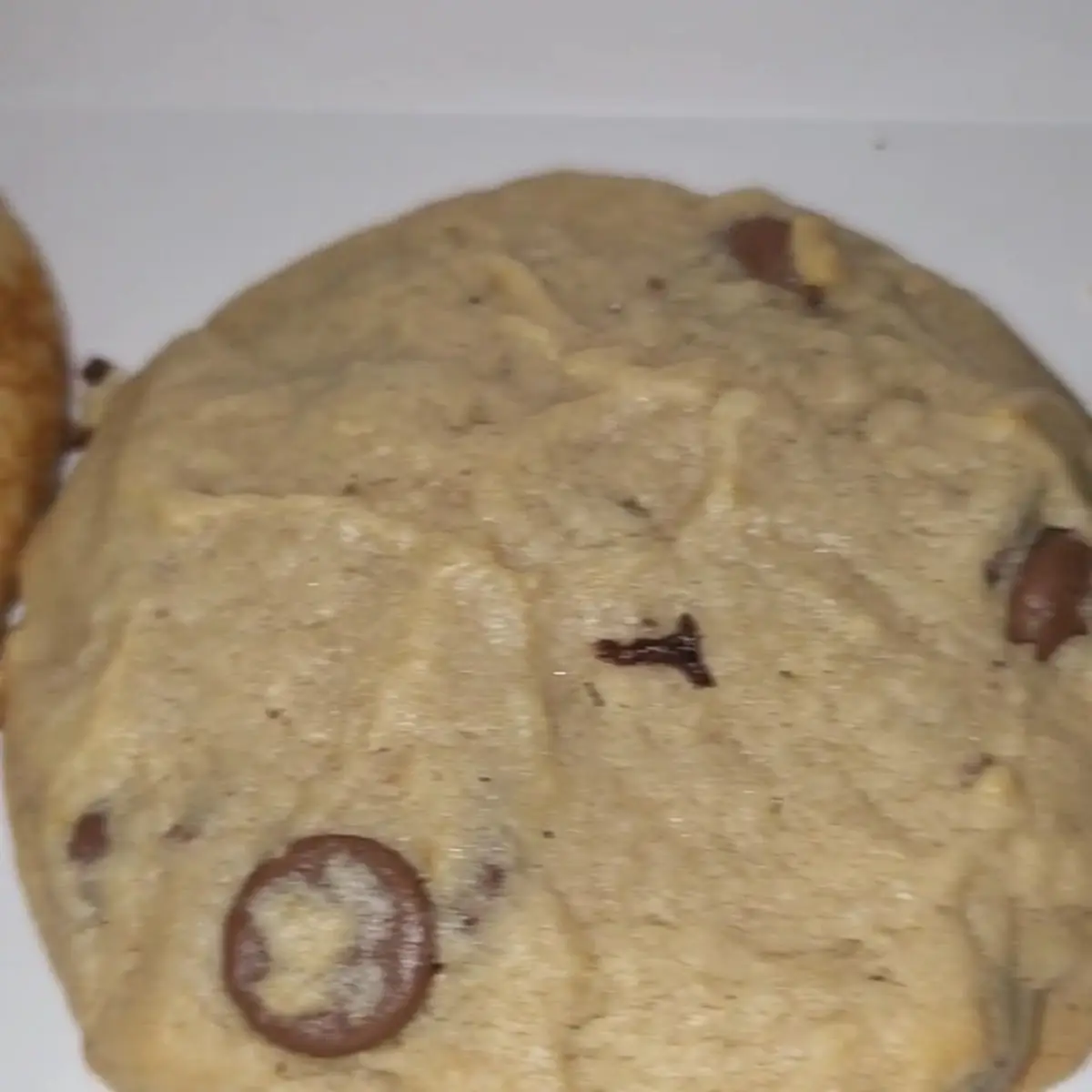 Chocolate Chip Cookie