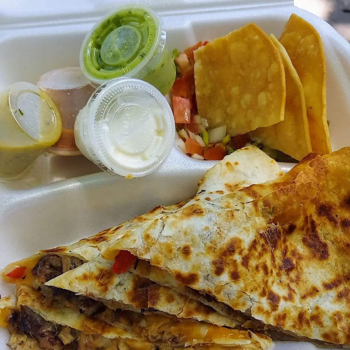 Bistec Quesadilla
